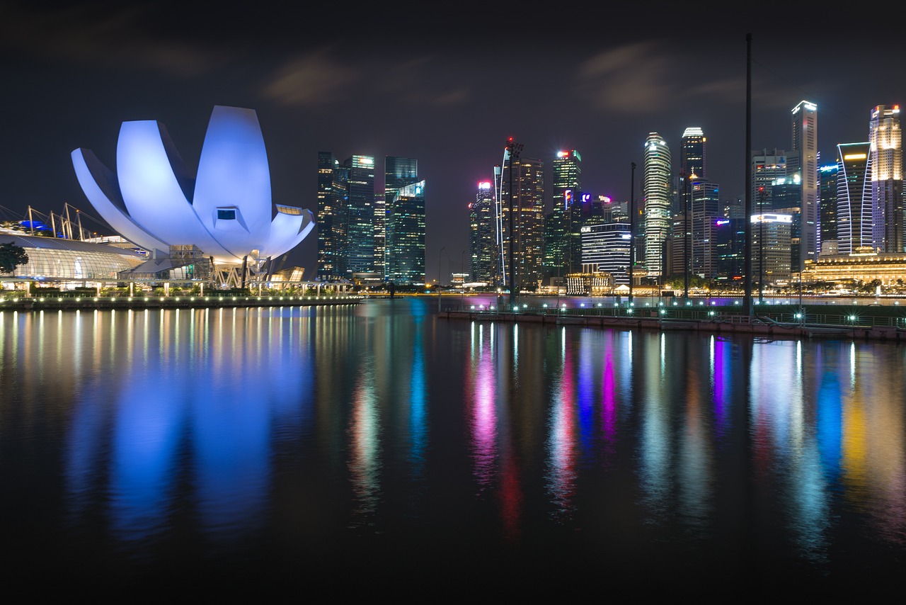 Night view of a city skyline with illuminated buildings and a large, distinctive lotus-shaped structure reflected in the water.