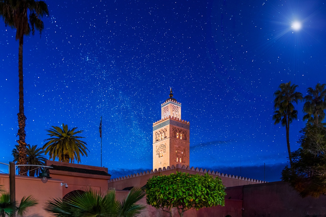 A night view of a minaret with stars in the sky and palm trees in the foreground.