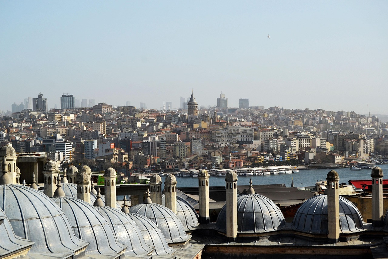 A panoramic view of a city with a mix of modern and historical architecture, featuring domed roofs in the foreground and a tower in the distance.