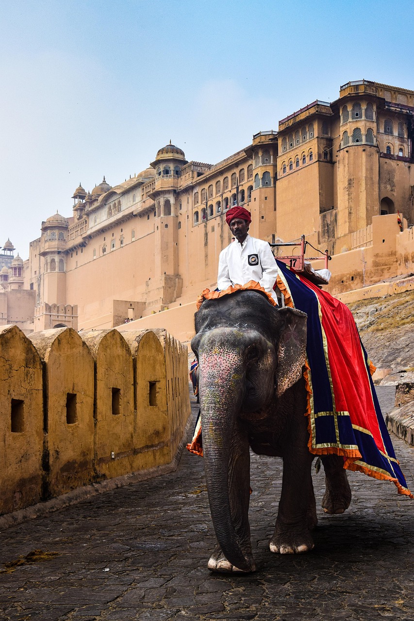 A man riding an elephant in front of a large historical fort in Jaipur, India.